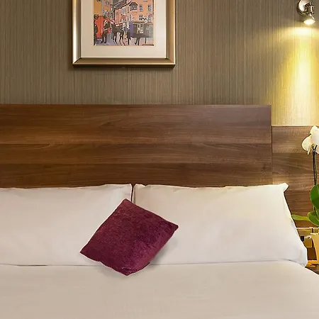 Leonardo Christchurch Hotel Dublín